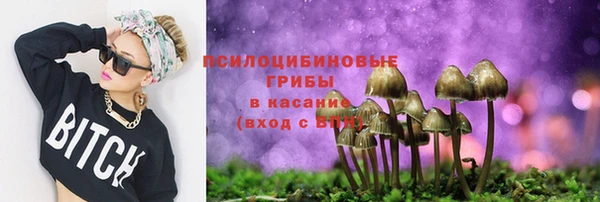 дмт Медвежьегорск