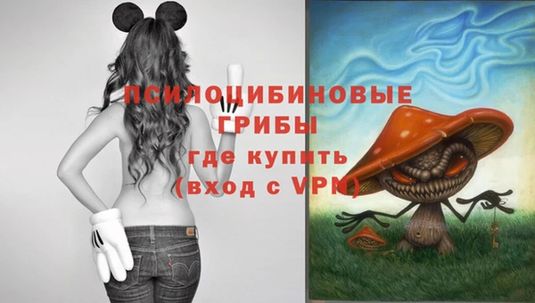 МДМА Медногорск