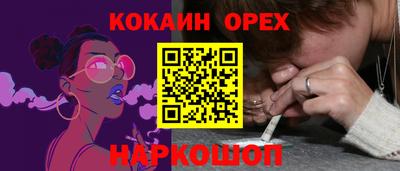 Альфа ПВП Ставрополь