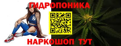 Альфа ПВП Ставрополь