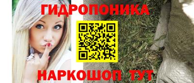 Альфа ПВП Ставрополь