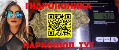 Альфа ПВП Ставрополь