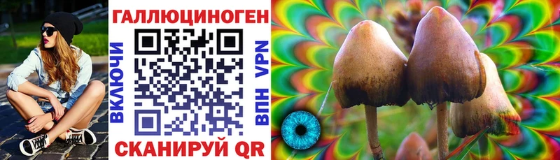 Псилоцибиновые грибы мухоморы Серпухов