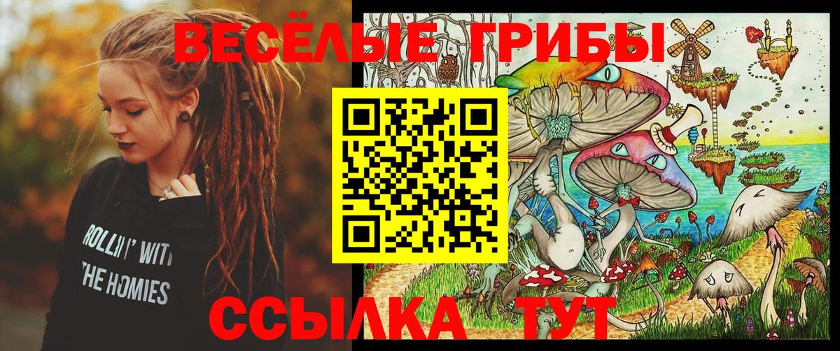 Псилоцибиновые грибы Cubensis Серпухов